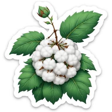 Cotton plant sticker