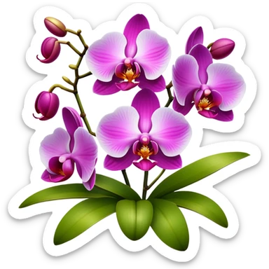 Orchids  sticker
