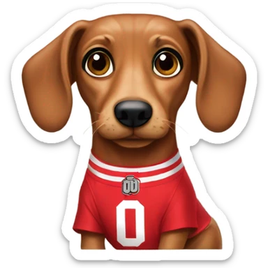 Wiener dog with Ohio state buckeyes jersey  sticker