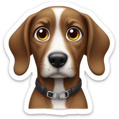 Cachorro usando óculos sticker