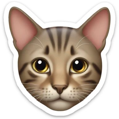 cat invite you sticker