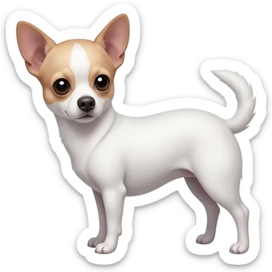 Chihuahua blanc sticker