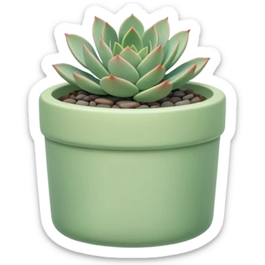 One ceramic pot in pastel green, cylindrical, and shallow, containing an echeveria succulent. sticker
