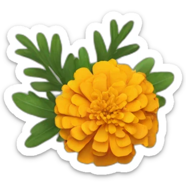 marigold sticker