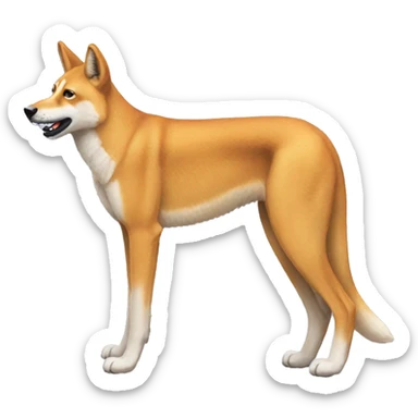 Dingo sticker