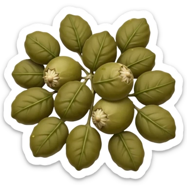small cluster of capers, olive green to muted brownish tones, slightly wrinkled skins, some with tiny stems, matte to lightly glossy surface, brine-preserved texture, no jar or garnish, soft lighting, subtle shadows, emoji scale sticker