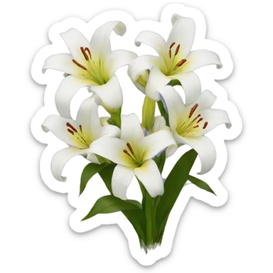 Puget of lilies  sticker