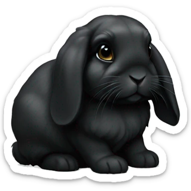 black holland lop bunny  sticker