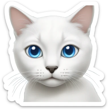 White cat with blue eyes and grey nose  sticker