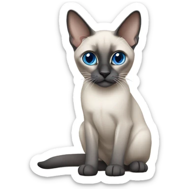 blue point siamese with white paws sticker