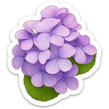 hydrangea Flower sticker