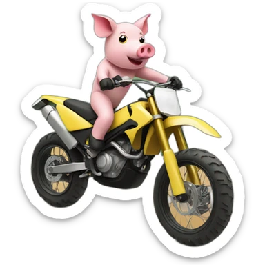 Pig on a motocross bike sticker