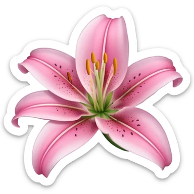 lily flower pink sticker