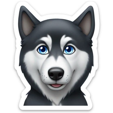 Black husky with one blue eye sticker