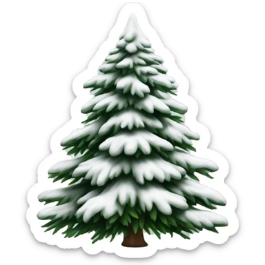  actual white fir christmas tree isolated.  sticker