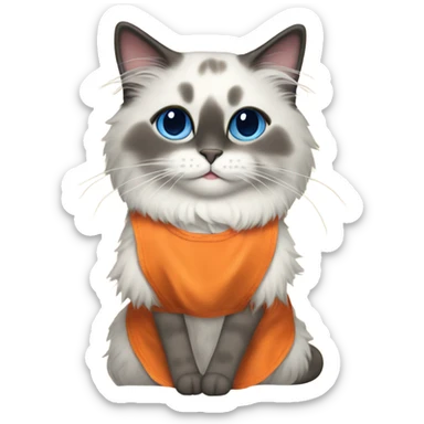 Blue point Ragdoll cat wearing an orange apron  sticker