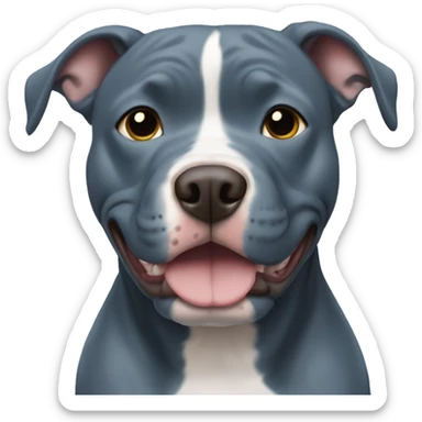 Blue pitbull with no marking sticker