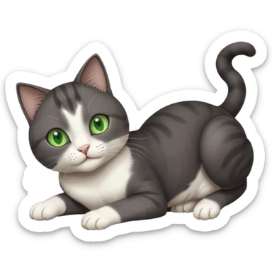 beautiful female solid dark grey cat with green eyes, white toes/paws and white patch on her chest playfully rolling upside down sticker