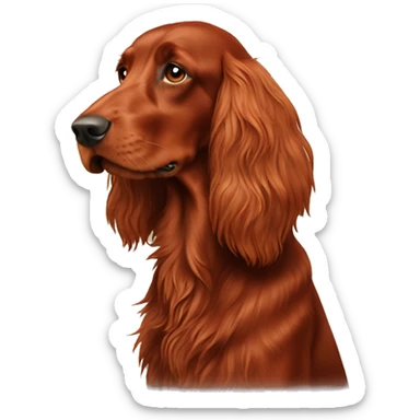 Irish red setter dog  sticker