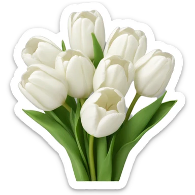 bouquet of white tulips  sticker