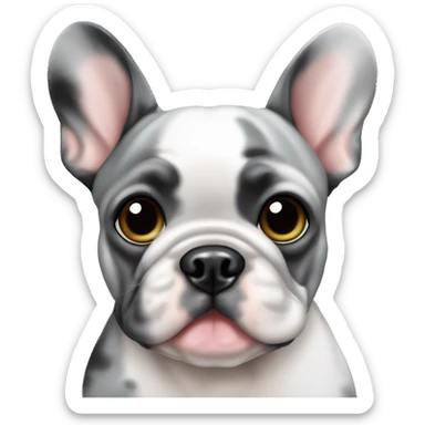 Gray and black Merle blue eyed Frenchie sticker