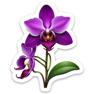 Cinematic Realistic Orchid Emoji, Exotic and elegant, with intricate, velvety petals in deep purple and white, forming a delicate and symmetrical blossom. The slender green stem holds the flower high, while surrounding leaves add lush contrast. Soft glowing outline, capturing the essence of rare beauty and sophistication in a captivating orchid. sticker