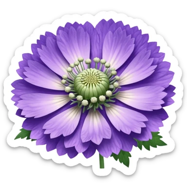 scabiosa sticker