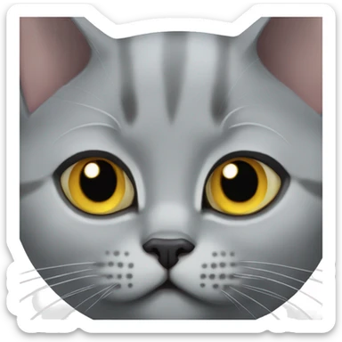 British shorthair cat grey sticker