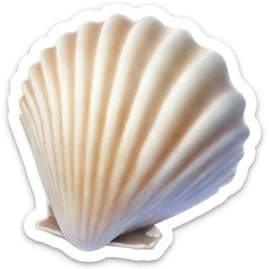 sea shell sticker