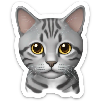 British shorthair grey tabby cat sticker