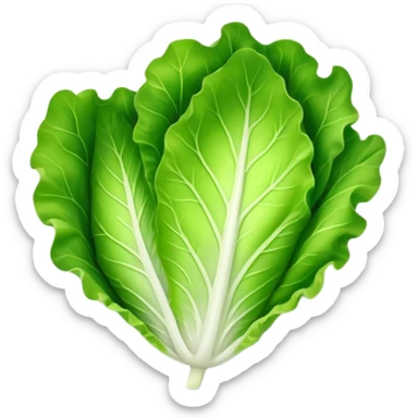single lettuce leaf on a plate sticker