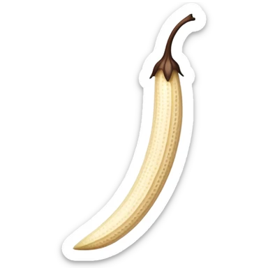 gousse de vanille sticker