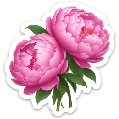 pink bouquet of peonies  sticker