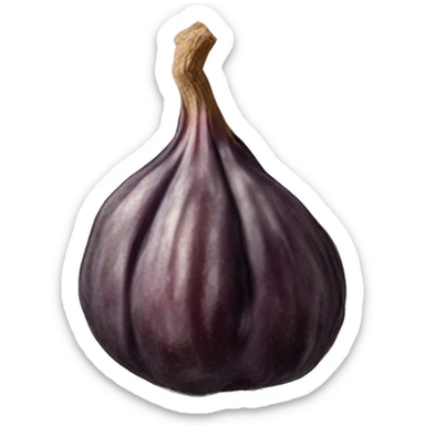 A single dried fig sticker