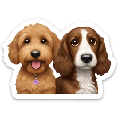  Brown goldendoodle and a black and brown longhair dachshund sitting together  sticker