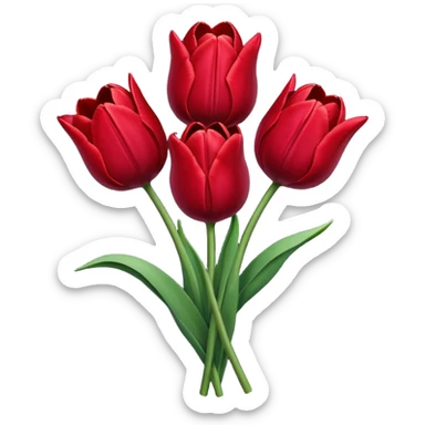 Dark red tulip bouquet  sticker