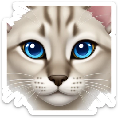 Lynx Point Siamese cat with blue eyes sticker