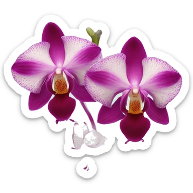 Twin orchids sticker