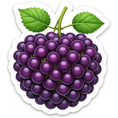 blackberry sticker