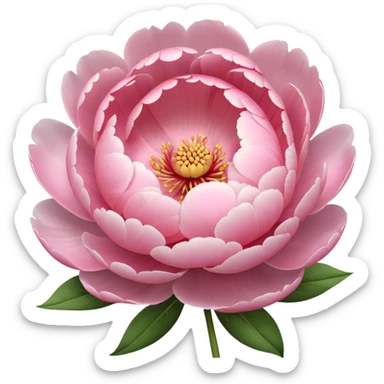 pink peony flower with a round body, blushing cheeks, nervous expression sticker