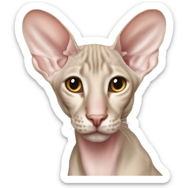 “Realistická Peterbald mačka s nahou kožou, veľké uši, sfarbenie v siamskom štýle (svetlé telo s tmavšími končekmi labiek, uší a chvosta), svetlo modré oči, detailný a emocionálny vzhľad.”  sticker