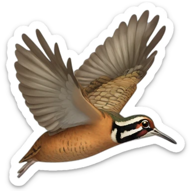 woodcock flying sticker