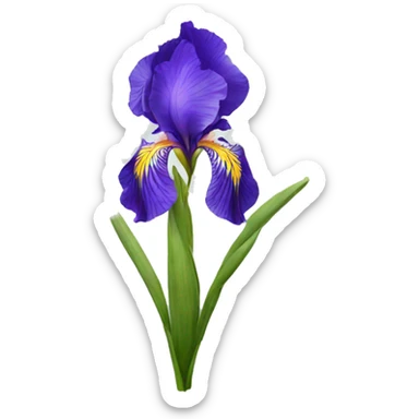 iris flower sticker