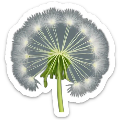 dandelion seedhead sticker