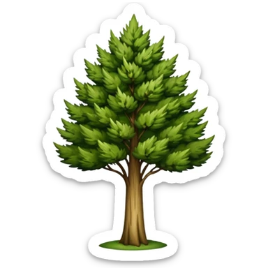 Tuscany cypress tree sticker