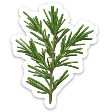 Rosemary sticker
