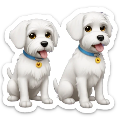 Two dog maltese boy and girl sticker