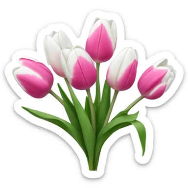 Pink and white tulips  sticker