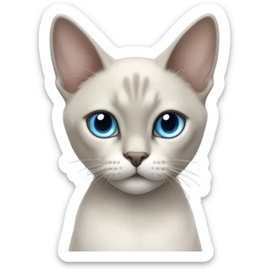 Thai breed cat with a light cream body, dark gray face, ears, and paws. Short fur, sharp ears, and striking light blue eyes with an intense gaze. sticker
