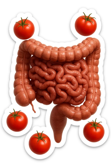 intestino umano anatomico con pomodori che gli fluttuano intorno, iperrealistico 4k sticker